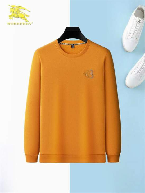 Picture of Burberry Sweatshirt _SKUBurberryM-3XL12yx13830705